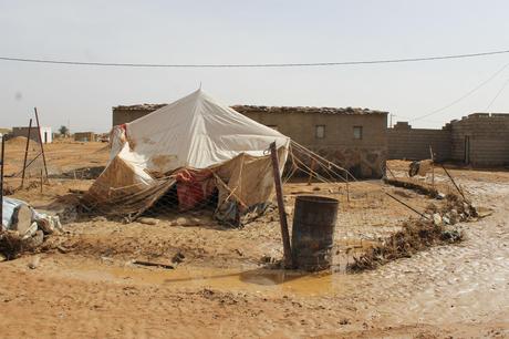 Hambrunas e inundaciones: la crisis humanitaria que asola los campamentos saharauis Campamentos inundados - 3