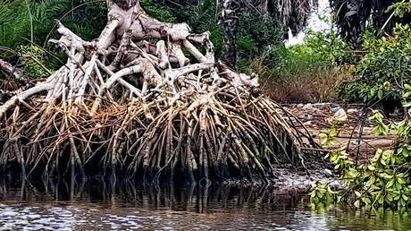 ANGOLA : NAVEGANDO EL RIO CONGO ANGOLA : NAVEGANDO EL RIO CONGO