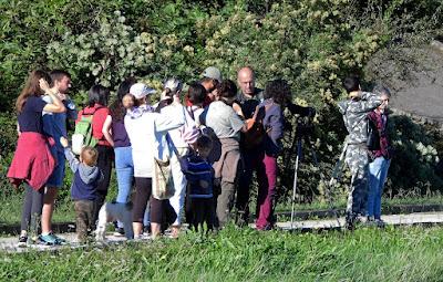 LAREDO-ASTILLERO-SUESA