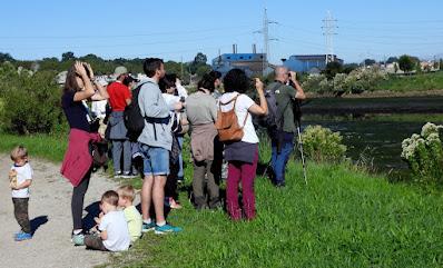 LAREDO-ASTILLERO-SUESA