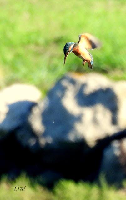LAREDO-ASTILLERO-SUESA
