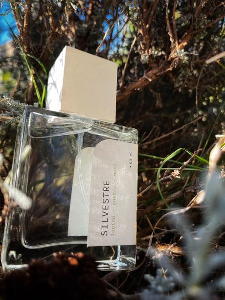 perfumes isadora silvestre bosque dupes argentina precio a que huele nota