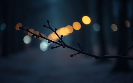 Cómo eliminar una rama en Git