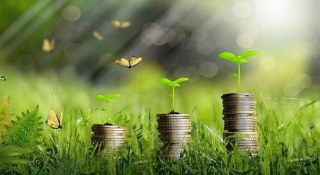 EL COSTE MEDIOAMBIENTAL DEL PIB.