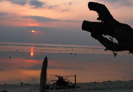 Anécdotas de mis viajes que nunca olvidaré Anécdotas de mis viajes que nunca olvidaré