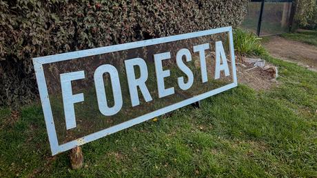 Guía del buen comer en Bariloche Guía del buen comer en Bariloche