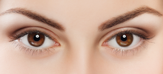 Si nuestro sistema inmunológico supiera que tenemos ojos, nos quedaríamos ciegos!