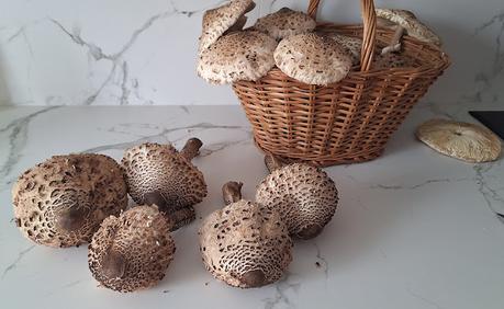 Apagallums rellenos de arroz con pollo y queso feta gratinados al horno (setas)