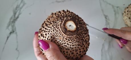 Apagallums rellenos de arroz con pollo y queso feta gratinados al horno (setas)