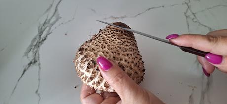 Apagallums rellenos de arroz con pollo y queso feta gratinados al horno (setas)