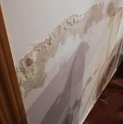 ¿Cuál es la humedad ideal en casa? ¿Cuál es la humedad ideal en casa?