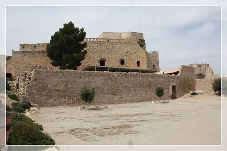 Edén en Miravet-Tarragona