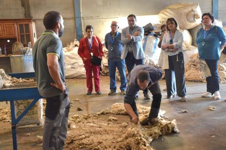 C-LM ofrece actividades de educación ambiental gratuitas a centros educativos, asociaciones y entidades de Cuenca