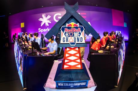 Sumthin Dumplin and Focus