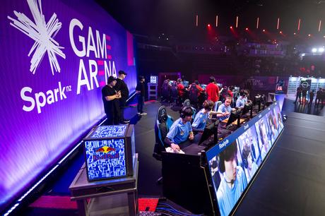 Sumthin Dumplin and Focus