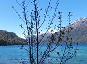 Lugares imperdibles Ruta Lago Correntoso,un marco natural incomparable, rodeado montañas, arenas volcánicas
