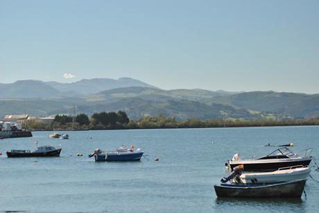 Marismas de Santoña