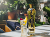 St-germain partner oficial 'the world's best bars'