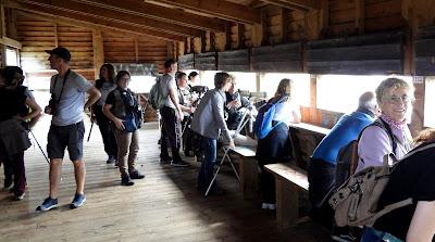 XVII FESTIVAL DE LA MIGRACIÓN DE LAS AVES