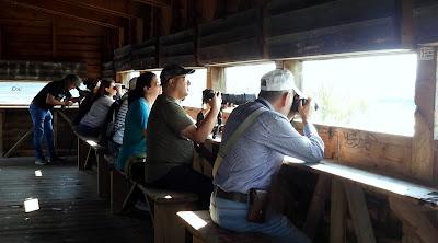 XVII FESTIVAL DE LA MIGRACIÓN DE LAS AVES