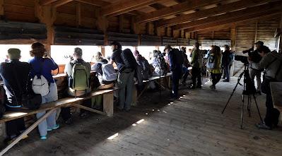 XVII FESTIVAL DE LA MIGRACIÓN DE LAS AVES