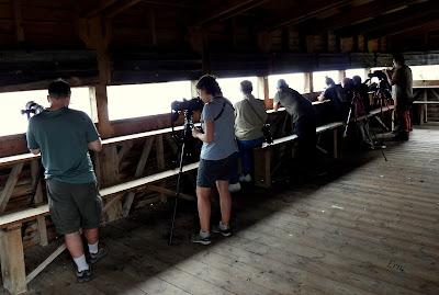 XVII FESTIVAL DE LA MIGRACIÓN DE LAS AVES
