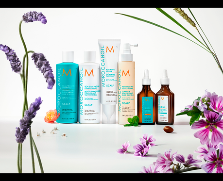 COLECCIÓN DE CUIDADO DEL CUERO CABELLUDO DE MOROCCANOIL®