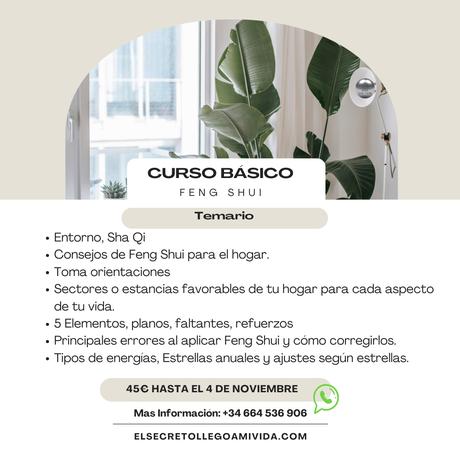 Oferta Halloween 🎃