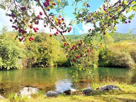 RECUERDOS DEL VERANO EN GUARDO