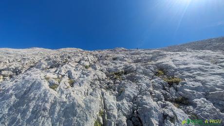 Llambrias del Cueto Albo