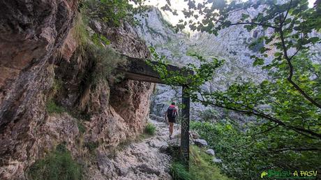 Subiendo por la Canal del Texu a Bulnes