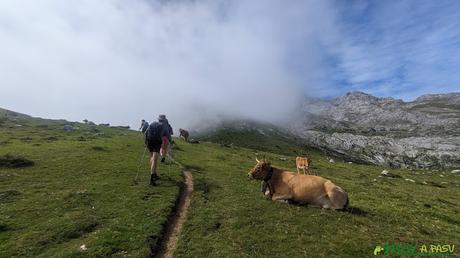 Subiendo por la Cuesta del Trave