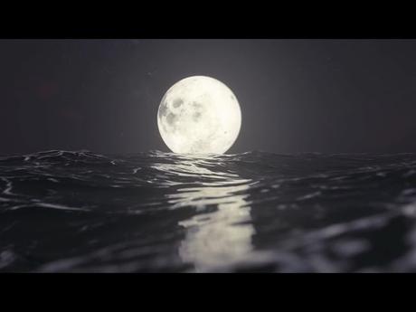 Cómo los ciclos lunares guían el desove de corales, gusanos y más