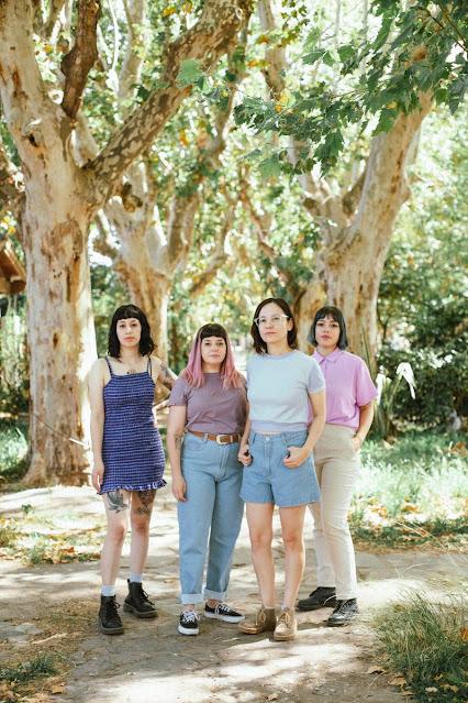 FIN DEL MUNDO: 'HICIMOS CRECER UN BOSQUE' FIN DEL MUNDO: 'HICIMOS CRECER UN BOSQUE'