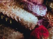 mundo: 'hicimos crecer bosque'