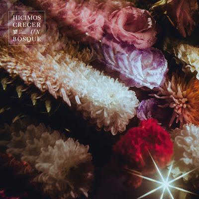 FIN DEL MUNDO: 'HICIMOS CRECER UN BOSQUE' FIN DEL MUNDO: 'HICIMOS CRECER UN BOSQUE'