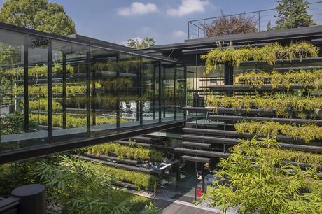 Oficinas Falcón II, Ciudad de México / Rojkind Arquitectos