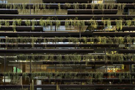 Oficinas Falcón II, Ciudad de México / Rojkind Arquitectos