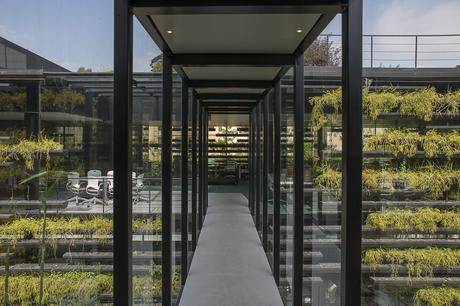 Oficinas Falcón II, Ciudad de México / Rojkind Arquitectos