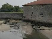 molino Sebastián Aldama