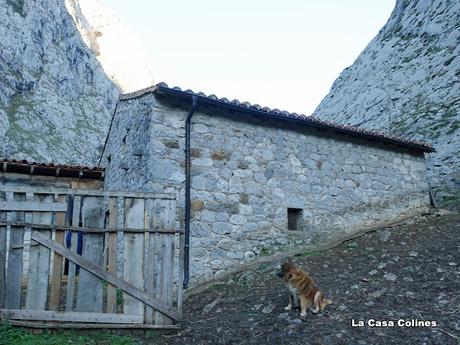 Poncebos-Las Salidas de Bulnes-Bulnes-Canal de Amuesa-Amuesa