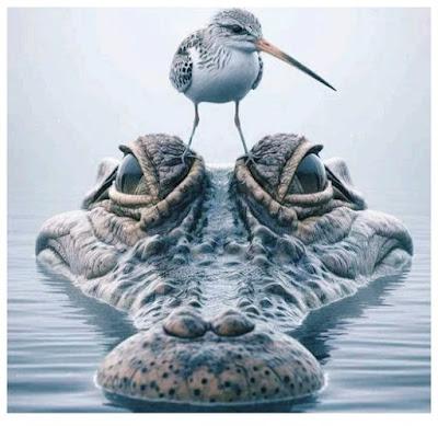 “Mientras Israel no pague un precio por sus acciones terroristas, nada cambiará”