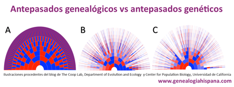Estimaciones étnicas de ADN vs nuestra genealogía, ¿sorpresas e incongruencias?