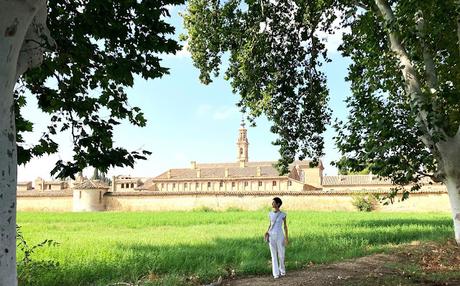 BLOGSSIPGIRL TE ANIMA A DESCUBRIR: LA CARTUJA AULA DEI, UN MONASTERIO DEL S.XVI, IMPREGNADO DE CULTURA, ARTE Y SERENIDAD.