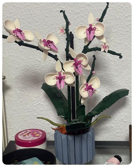 💐 Orquídea en Bloques !! 💐