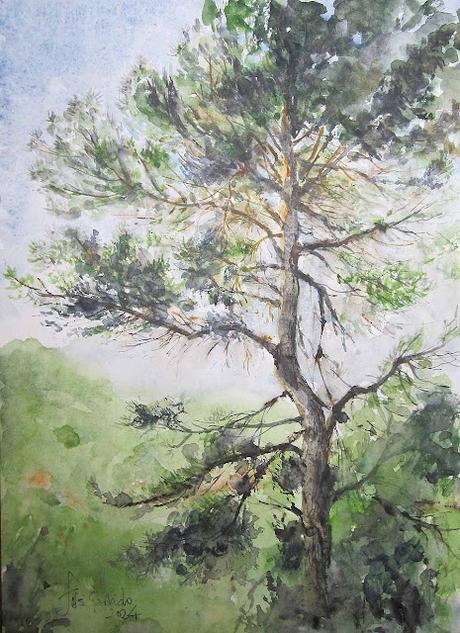 PALETA Y PIGMENTOS. Y acuarelas de septiembre 2024.