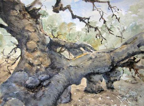 PALETA Y PIGMENTOS. Y acuarelas de septiembre 2024.