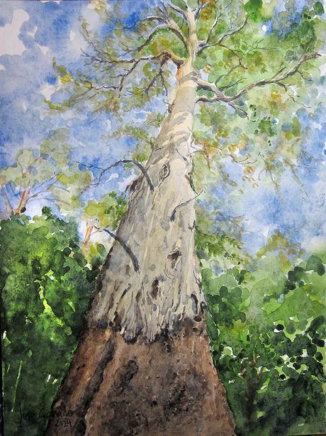 PALETA Y PIGMENTOS. Y acuarelas de septiembre 2024.