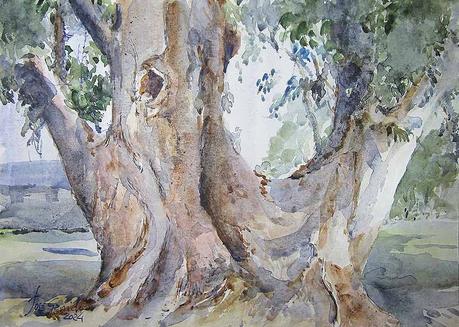 PALETA Y PIGMENTOS. Y acuarelas de septiembre 2024.