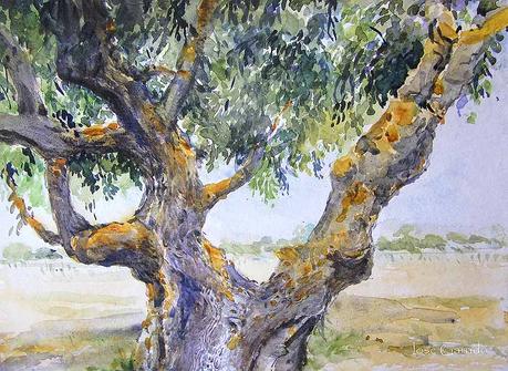 PALETA Y PIGMENTOS. Y acuarelas de septiembre 2024.